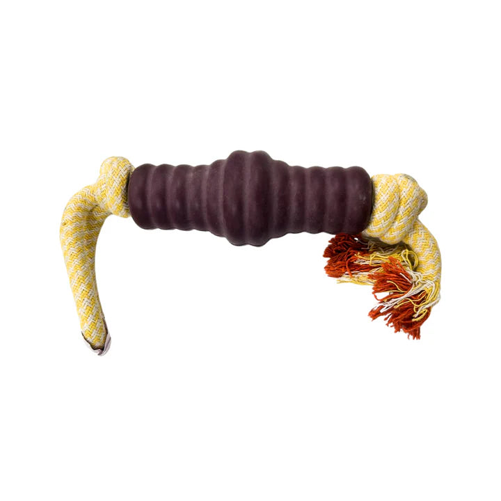 Puppy Goodie Bone Toy With Rope for Dogs