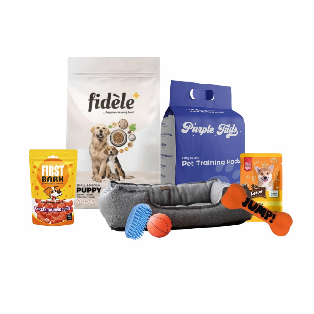 Starter Kit For Puppy
