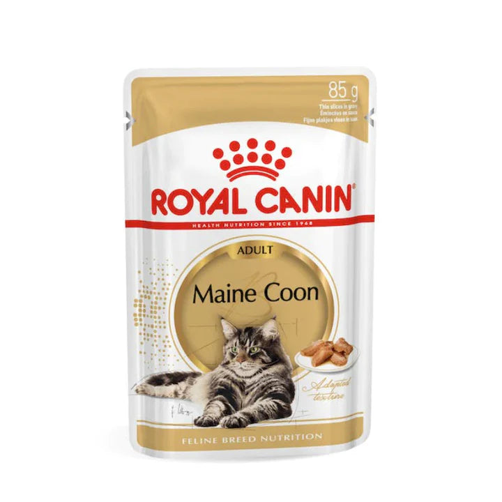Royal Canin Maine Coon Adult Wet Cat Food 85g x 12