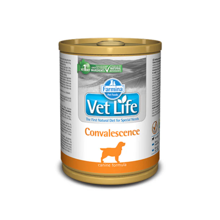 Farmina Vet Life Gastrointestinal Wet Dog Food, 300 gm