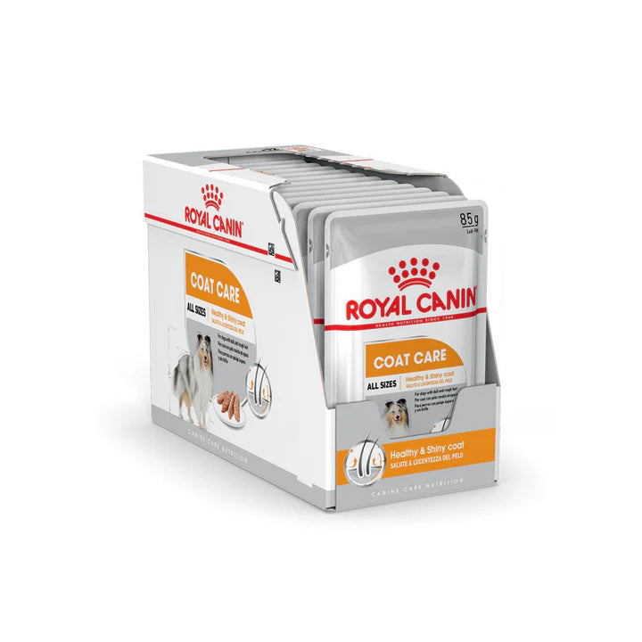 Royal Canin Coat Care Wet Dog Food 85 g x 12